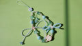 Glimmering Dreams Wristlet Style Phone Charm