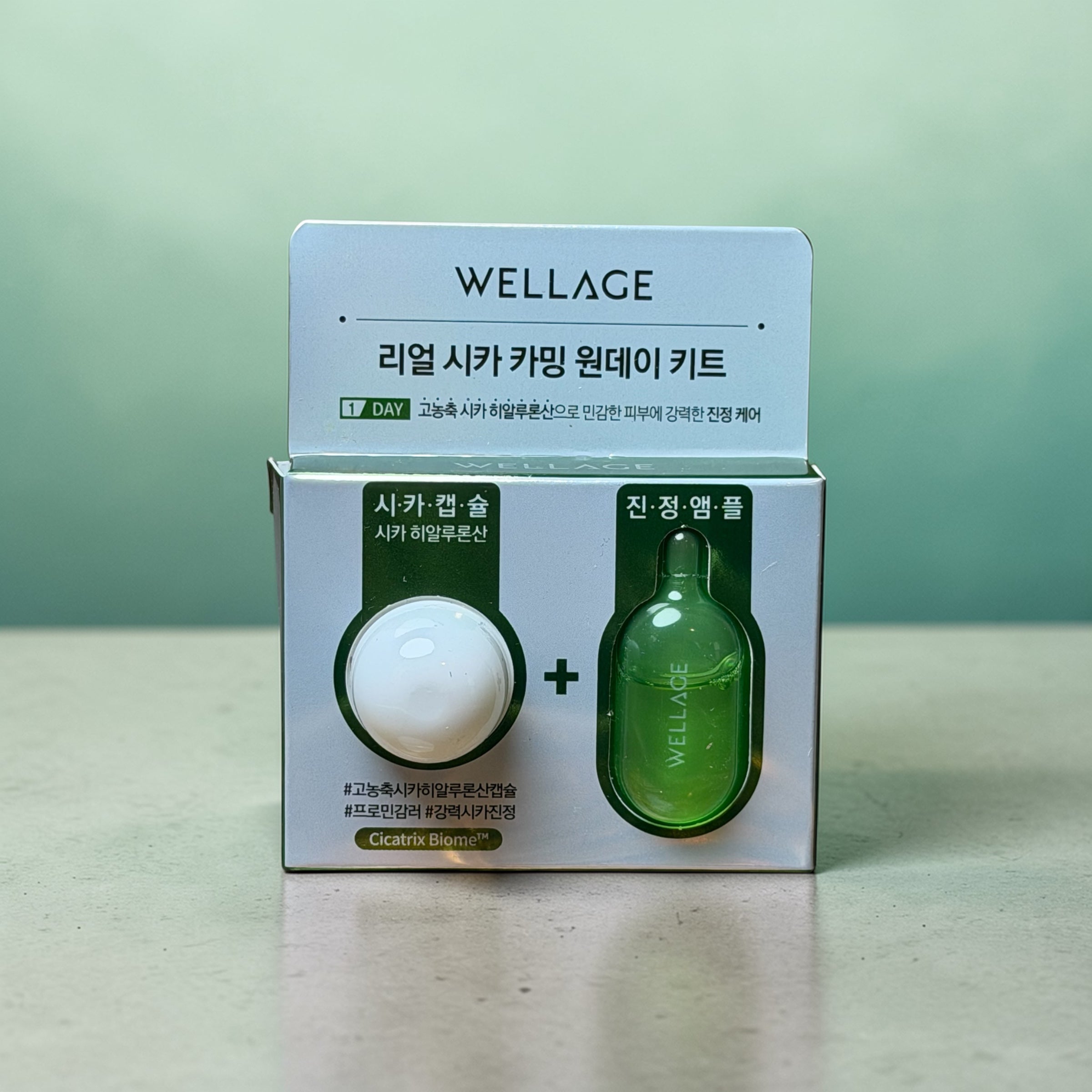 WELLAGE Real Cica Calming One Day Kit